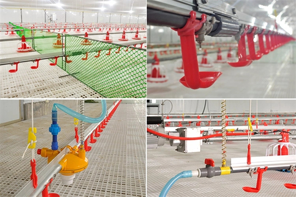 معدات تغذية الدجاج الأوتوماتيكية بالكامل وبيت الدواجن ومعدات تغذية الدجاج اللاحم.webp (4)